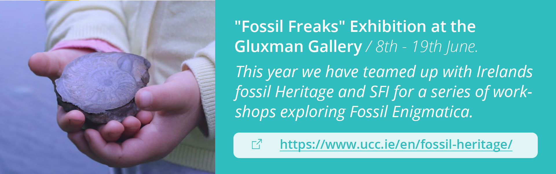 'Tools of the Trade' Fossil Freaks exhibition 2022