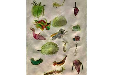 Tools of the Trade Fossil Freaks 2024 pic 2