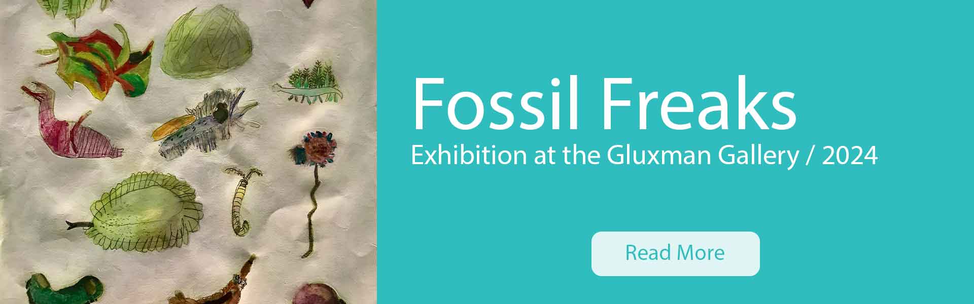 'Tools of the Trade' Fossil Freaks exhibition 2024